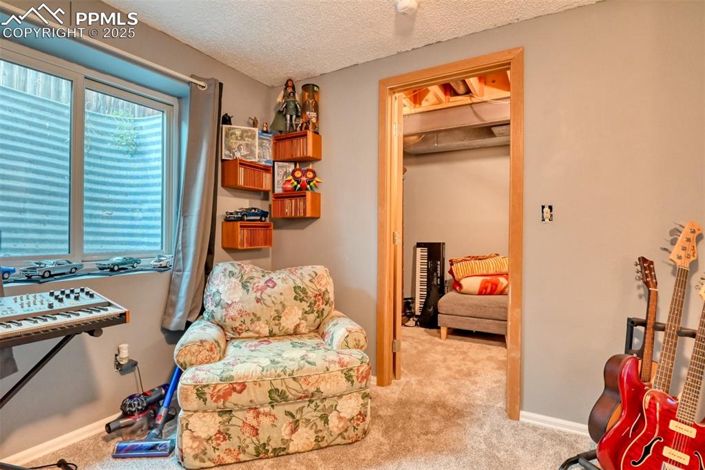 Image 24 of 32: Sitting room featuring a textured ceiling and carpet flooring