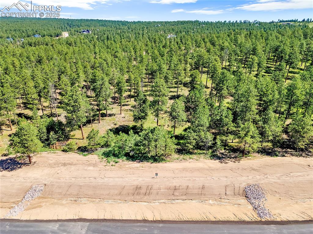 Caption: Aerial view