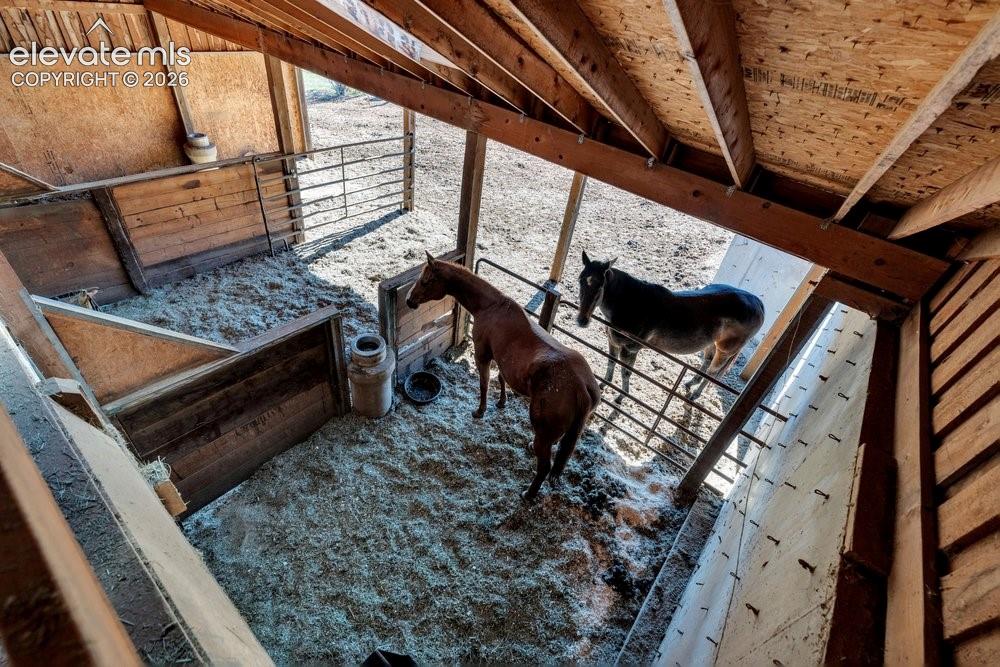 Image 38 of 45: Stable