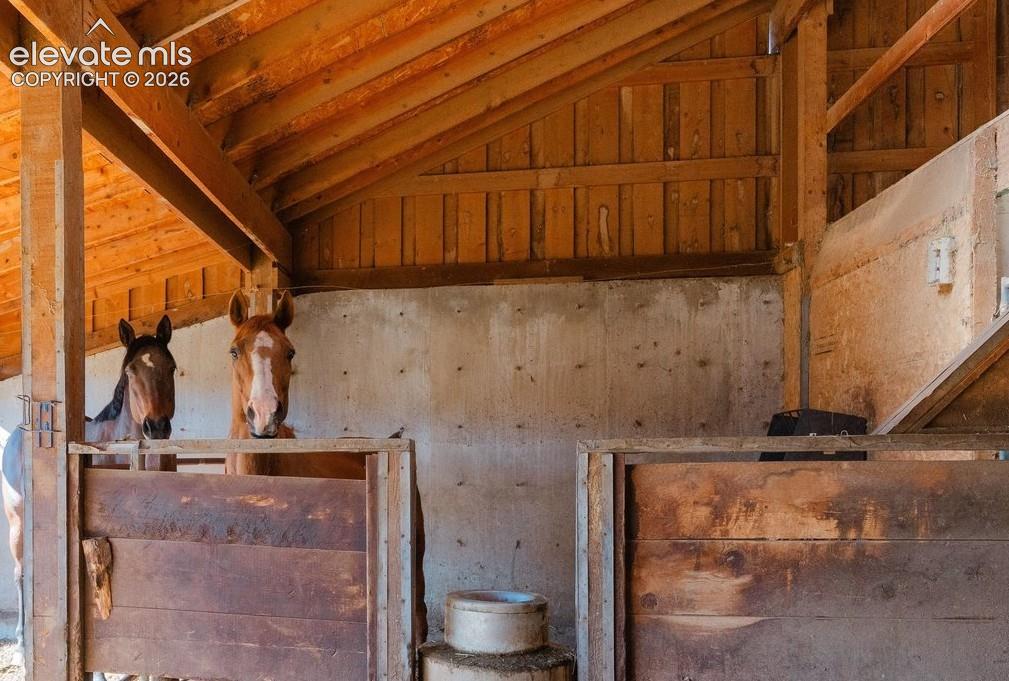 Image 39 of 45: Stable