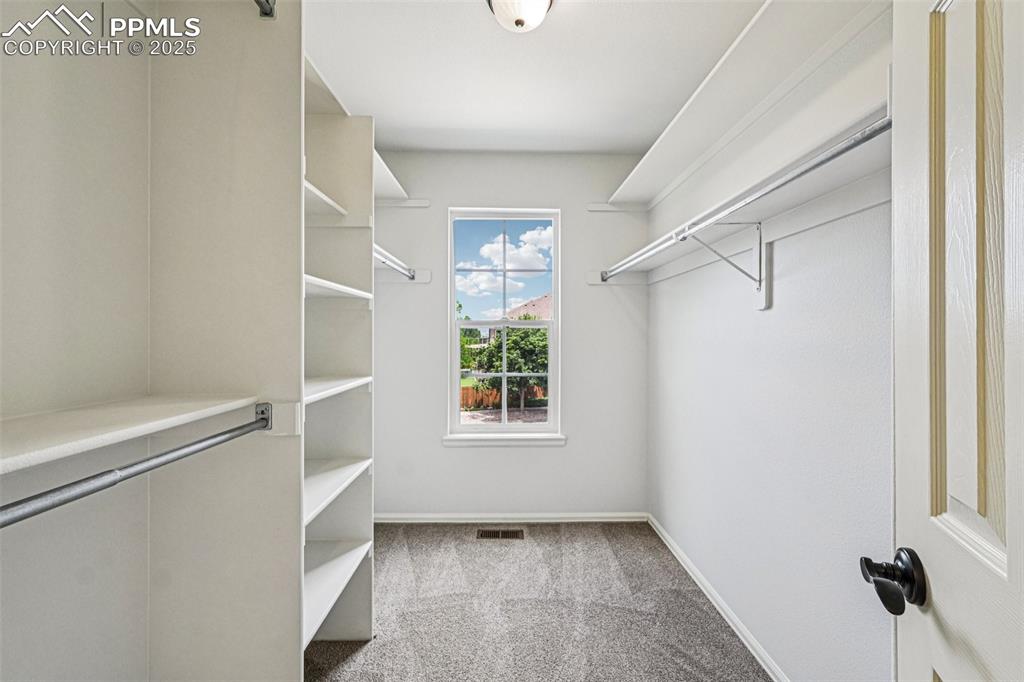 Image 23 of 46: Spacious closet featuring carpet