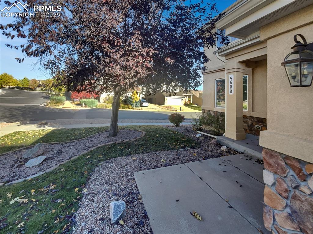 Image 26 of 28: Yard