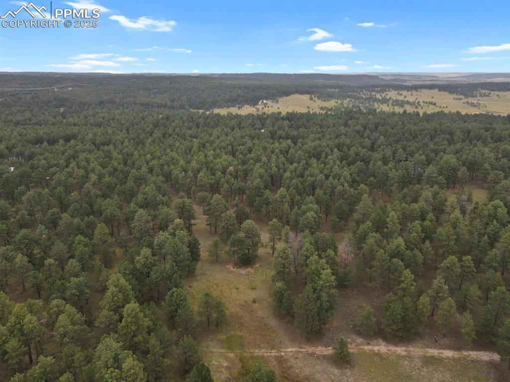 Image 3 of 11: Aerial View