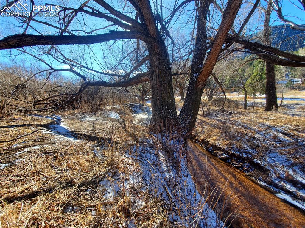 Image 20 of 20: Yard