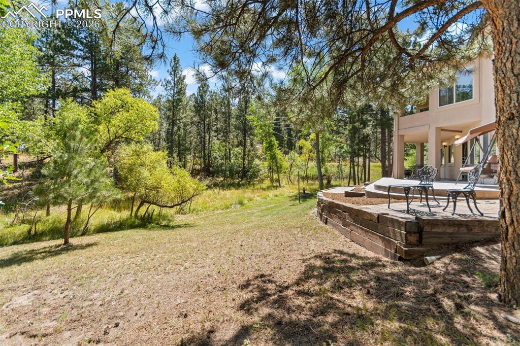 Image 37 of 49: Yard