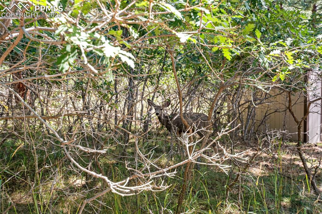 Image 40 of 49: Other