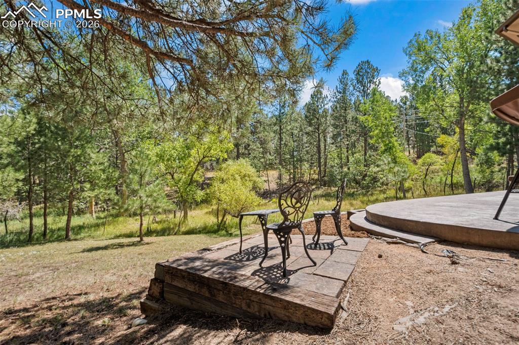 Image 42 of 49: Yard