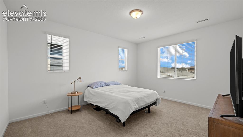 Image 21 of 37: Plush carpeting, multiple windows with blinds, a ceiling-mounted light fixt