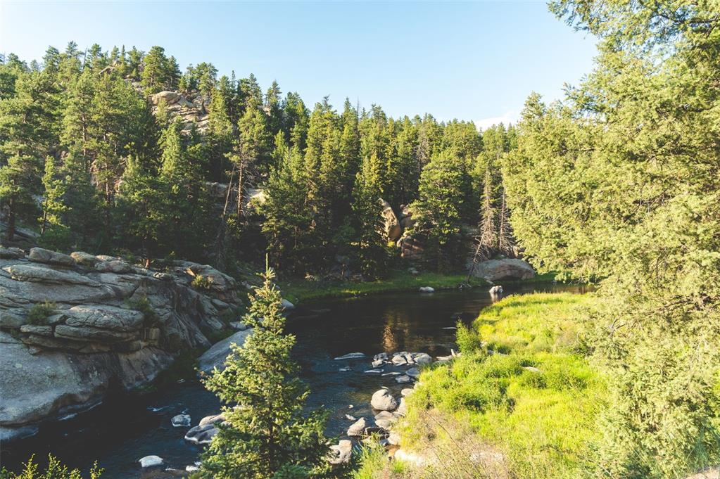 Image 33 of 38: Eleven Mile Canyon Nearby for Outdoor Recreation
