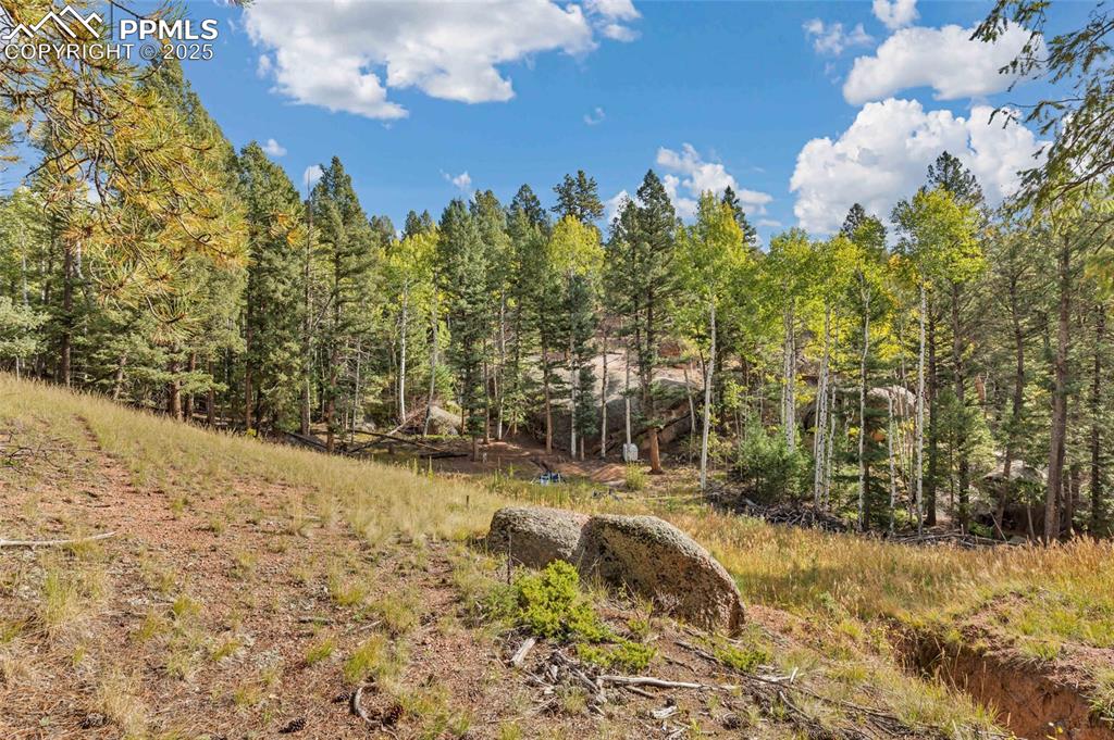 Image 10 of 14: View of yard with a wooded view