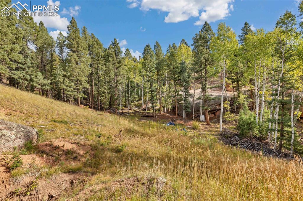 Image 11 of 14: View of local wilderness