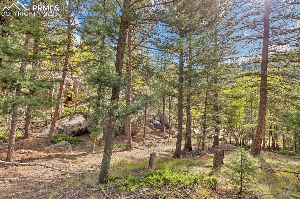 Image 12 of 14: View of local wilderness