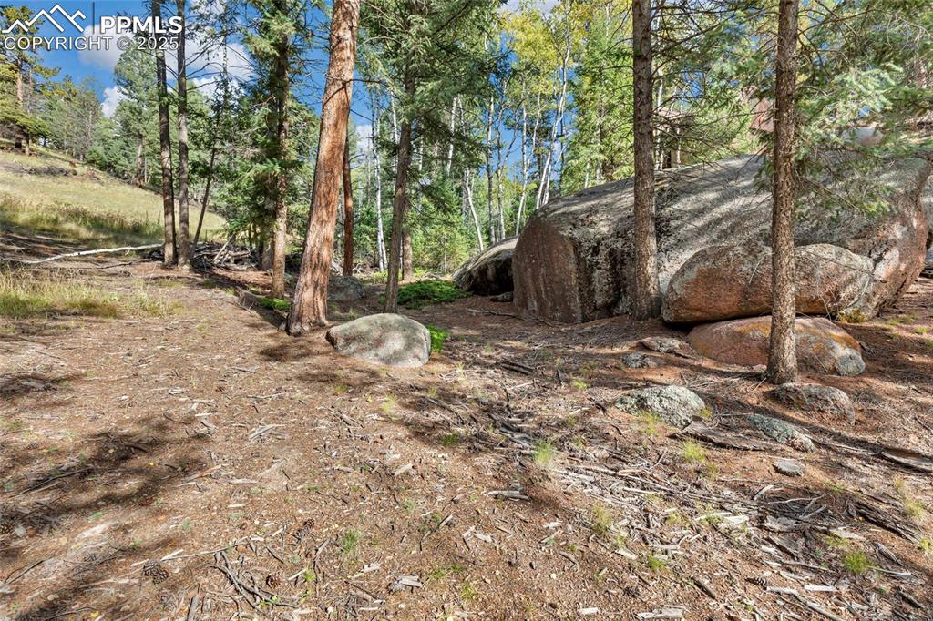 Image 6 of 14: View of nature