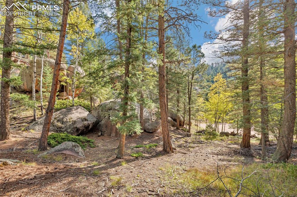 Image 7 of 14: View of local wilderness