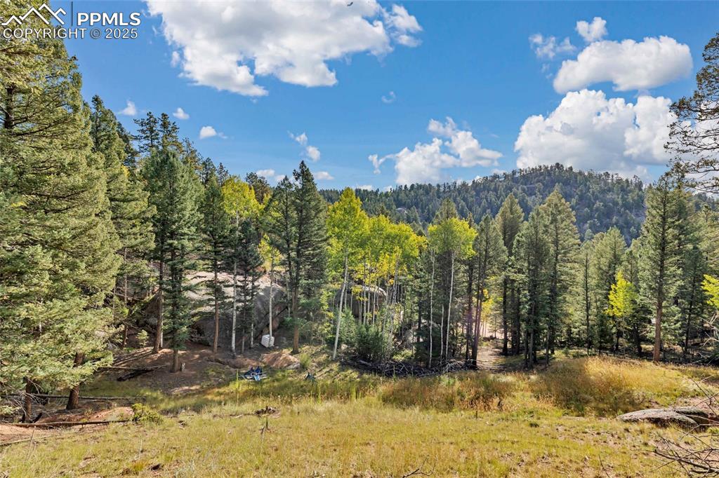 Image 8 of 14: View of mountain backdrop featuring a heavily wooded area