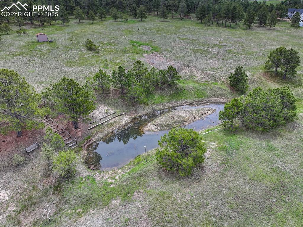 Image 31 of 33: Trail leads to the creek filled & spring fed pond