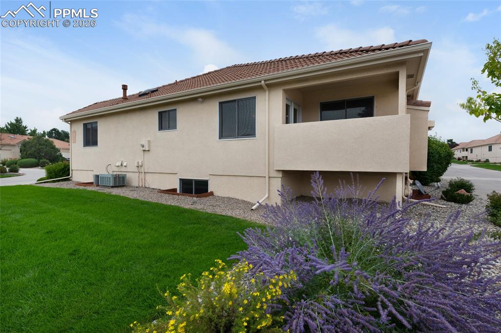 Image 37 of 41: Back of Structure