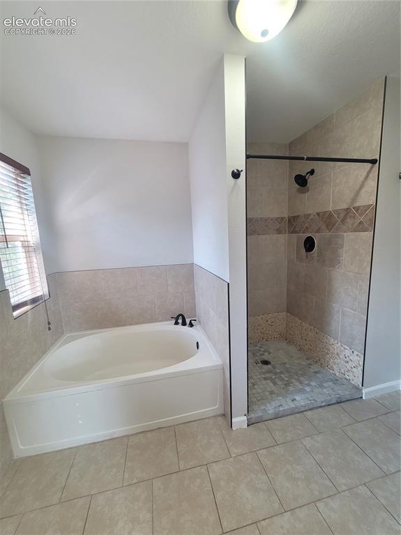 Image 11 of 22: master tub and shower
