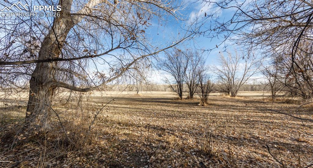 Image 38 of 45: Yard