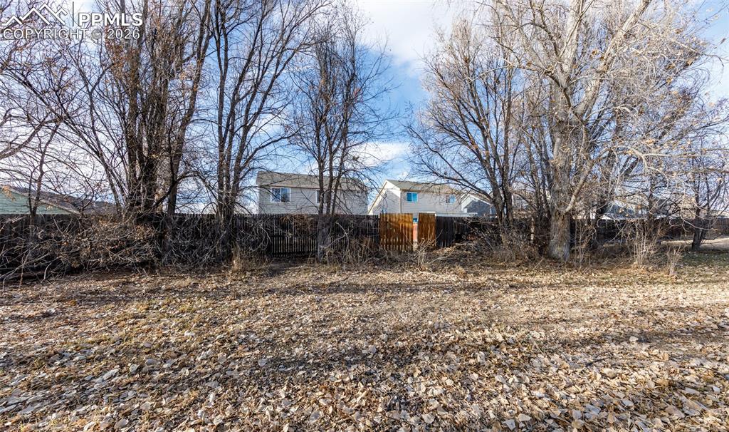 Image 39 of 45: Yard