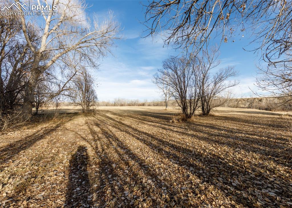 Image 40 of 45: Yard