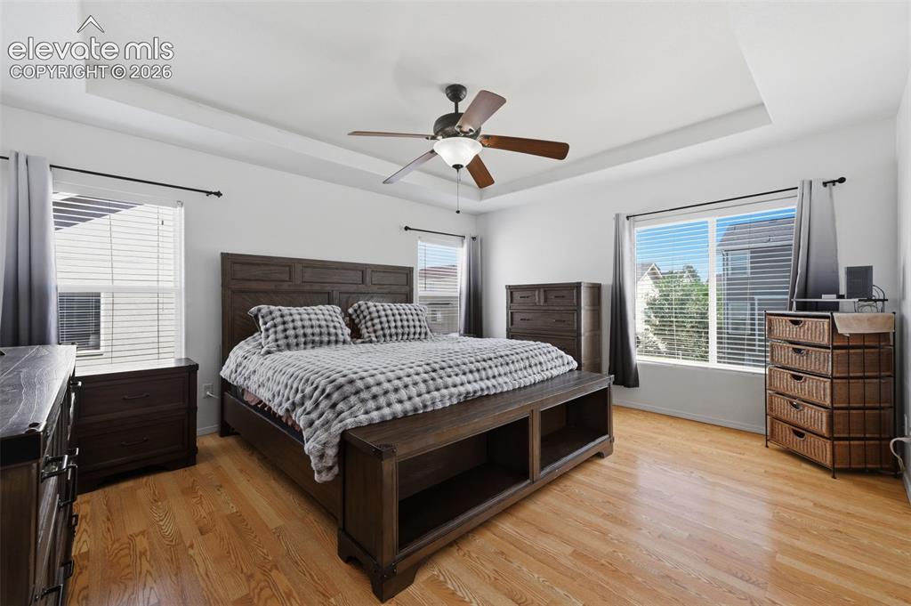 Image 19 of 35: Tray ceiling with a ceiling fan, wood-finish flooring, and multiple windows