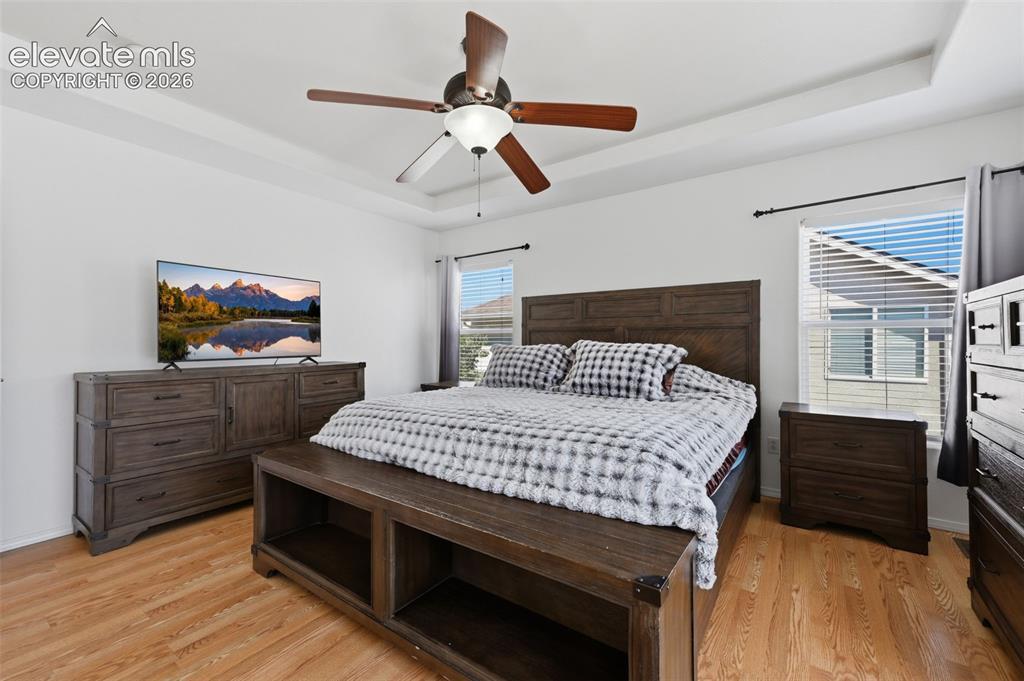 Image 20 of 35: Tray ceiling with a ceiling fan, wood-finish flooring, and white walls