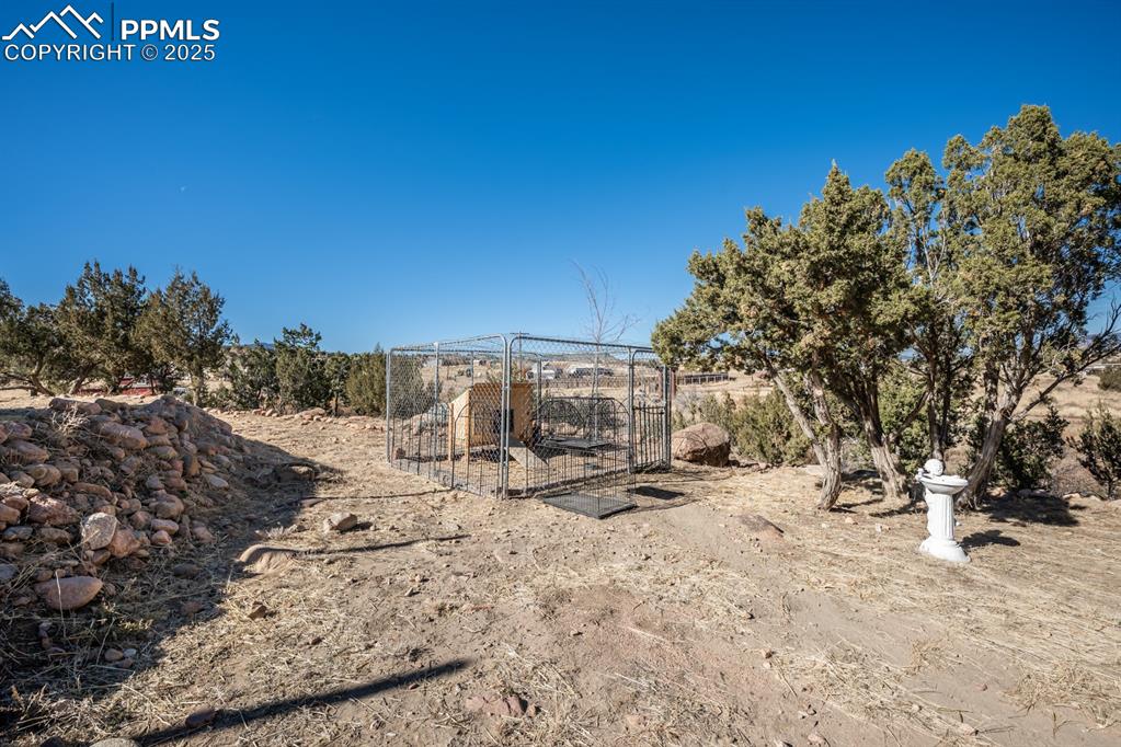 Image 50 of 50: View of yard with an outdoor structure