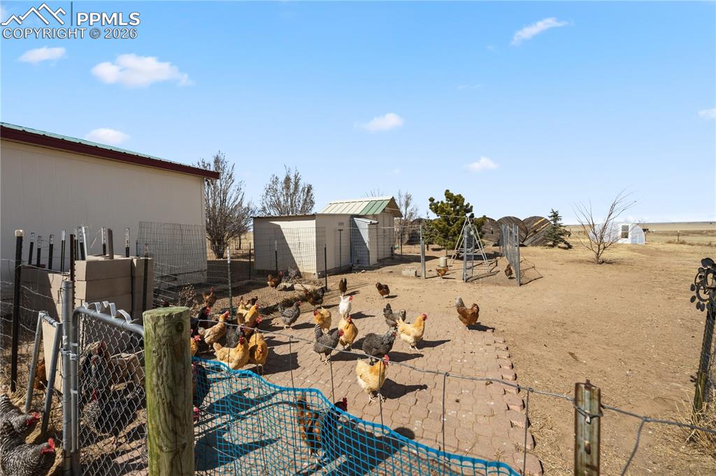 Image 26 of 49: Yard