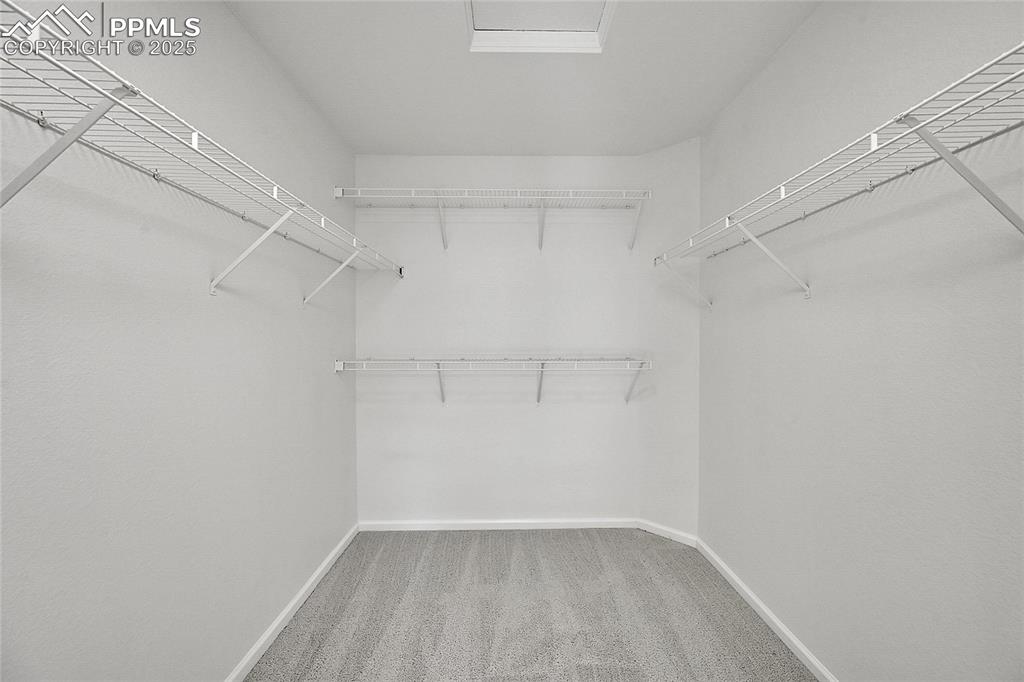 Image 20 of 31: Spacious closet with light carpet