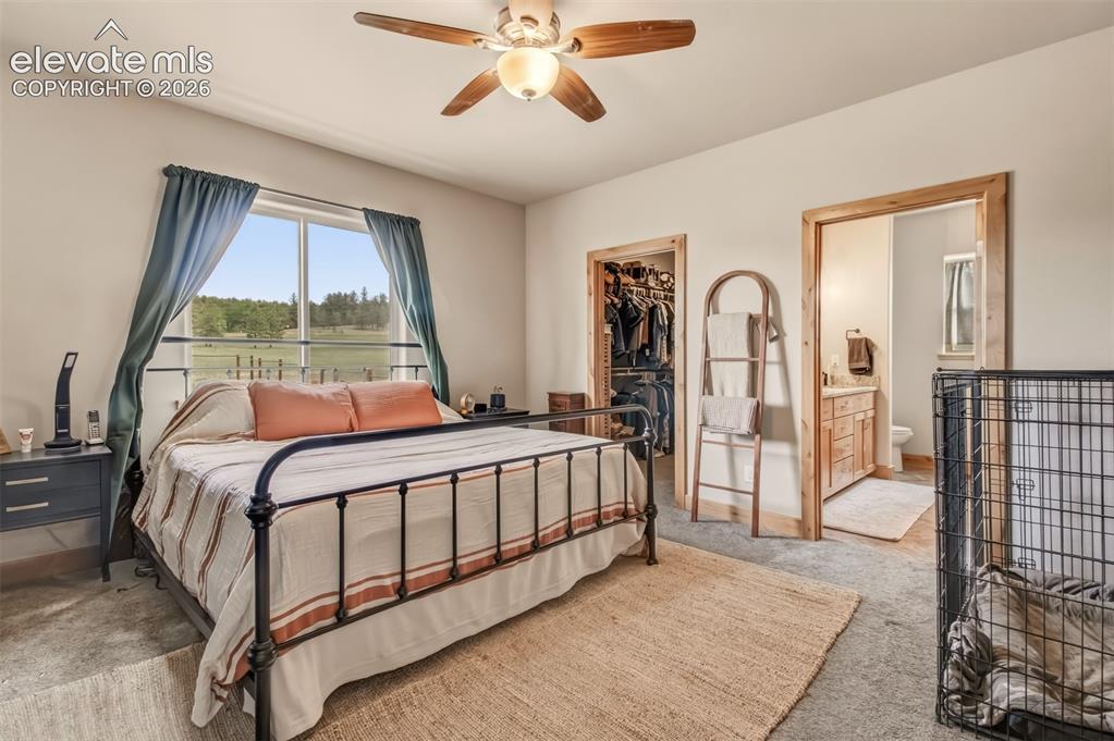 Image 17 of 40: Master Bedroom