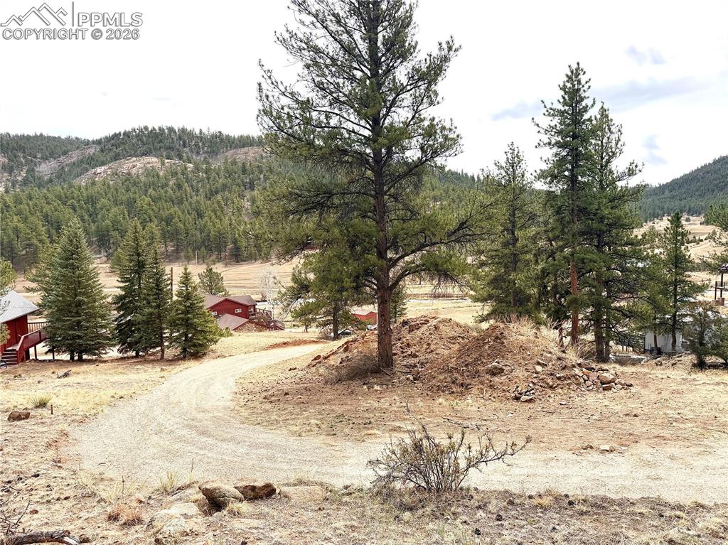 Image 2 of 7: Driveway installed w/easement approved