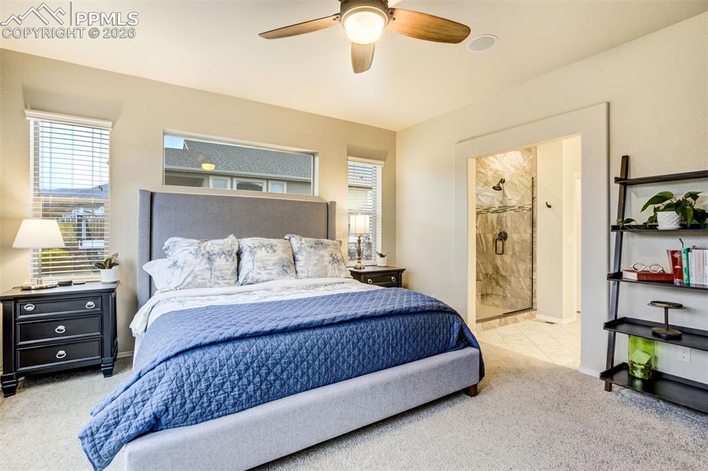 Image 26 of 48: Carpeted bedroom featuring a ceiling fan, dual windows with blinds, and an
