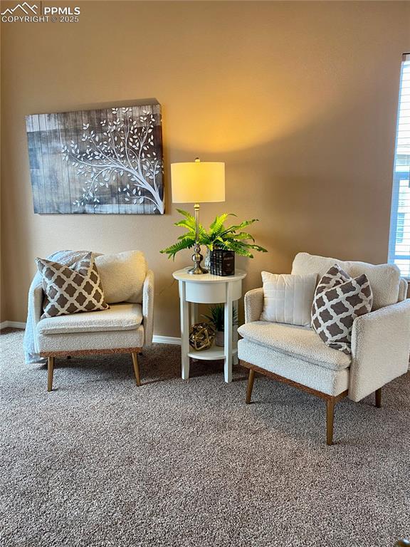 Image 42 of 50: Living area featuring carpet floors and baseboards