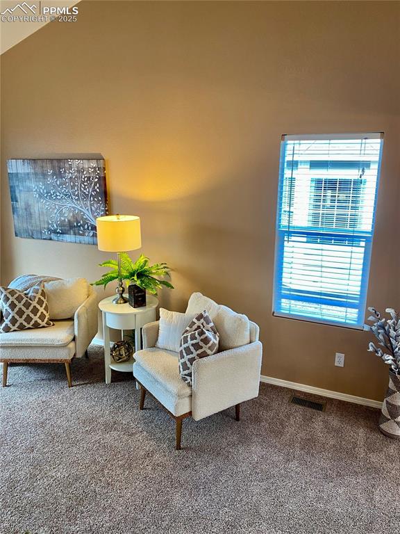 Image 48 of 50: Sitting room with carpet flooring and baseboards