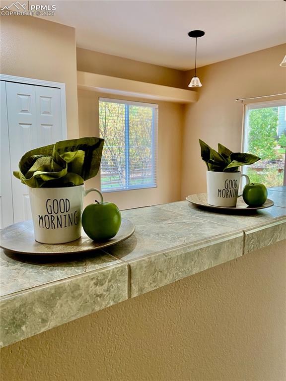 Image 50 of 50: Detailed view