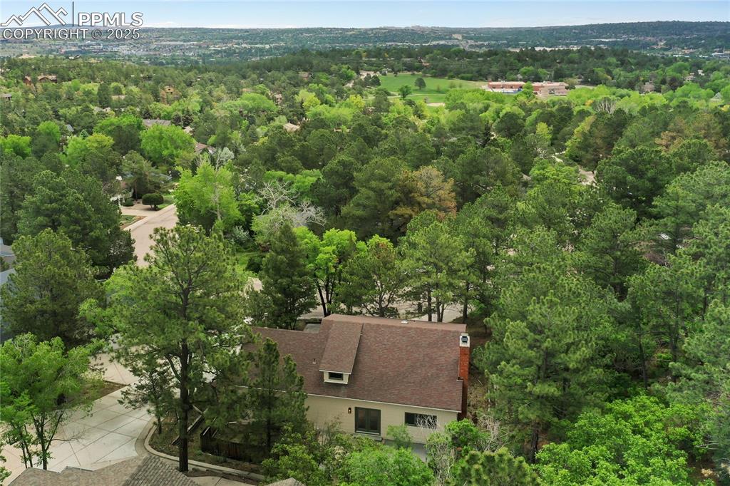 Image 3 of 37: Surrounded by trees...