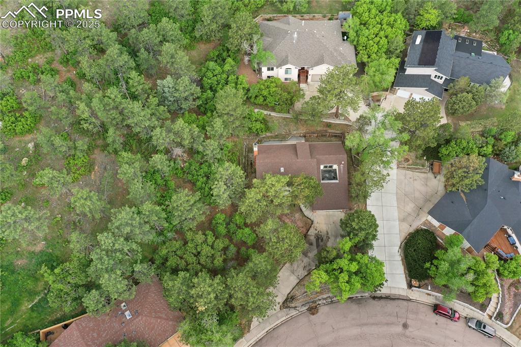 Image 36 of 37: Great wooded location
