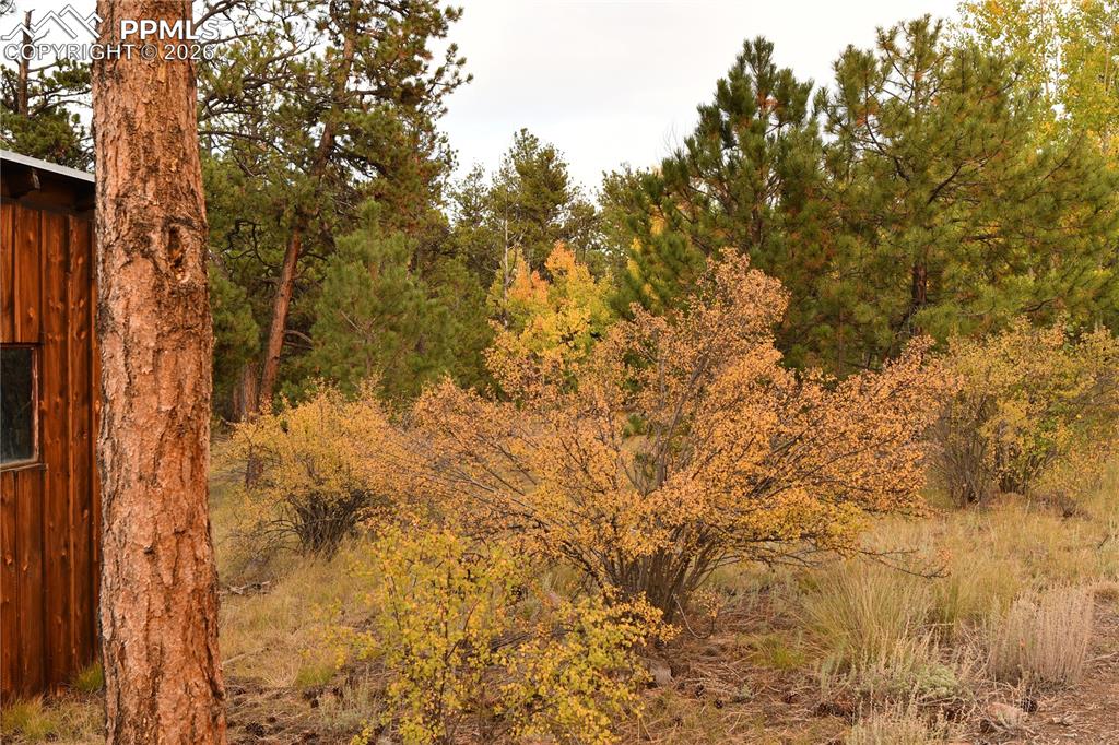 Image 23 of 41: Other