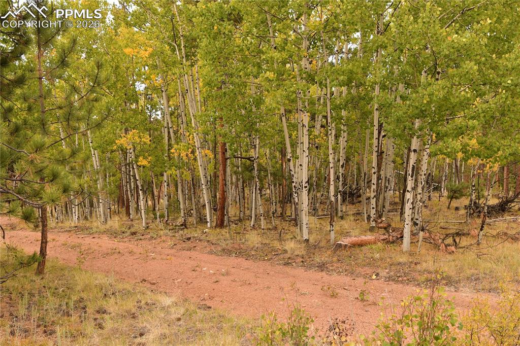 Image 24 of 41: Other