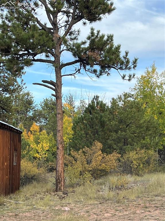 Image 31 of 41: Other