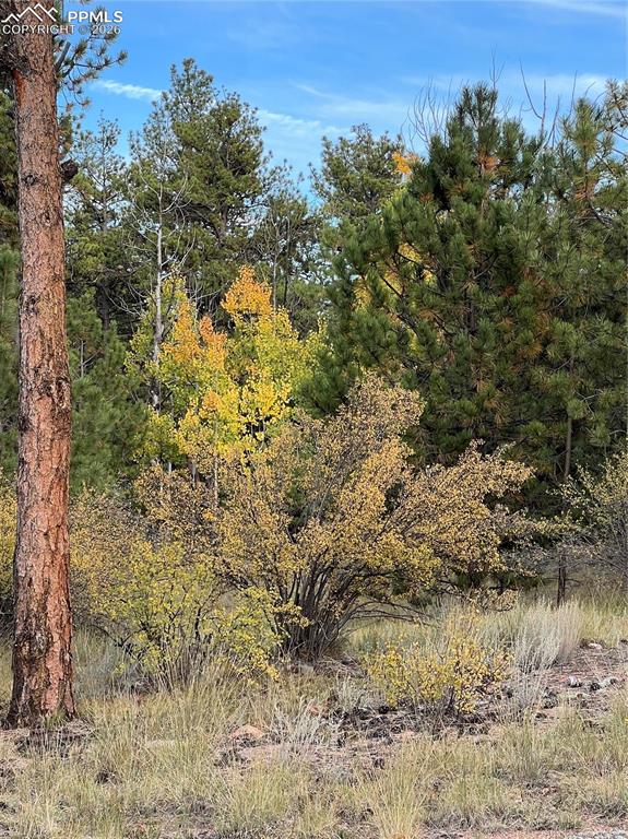 Image 34 of 41: Other