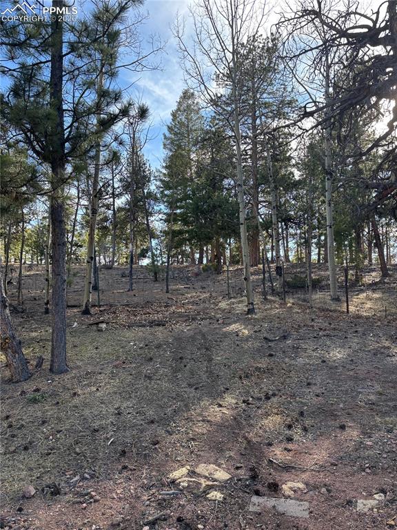 Image 35 of 41: Other