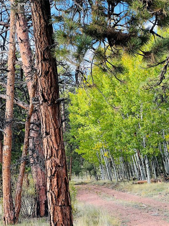 Image 36 of 41: Other