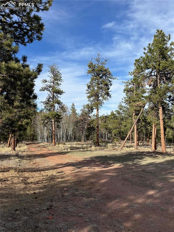 Image 39 of 41: Yard