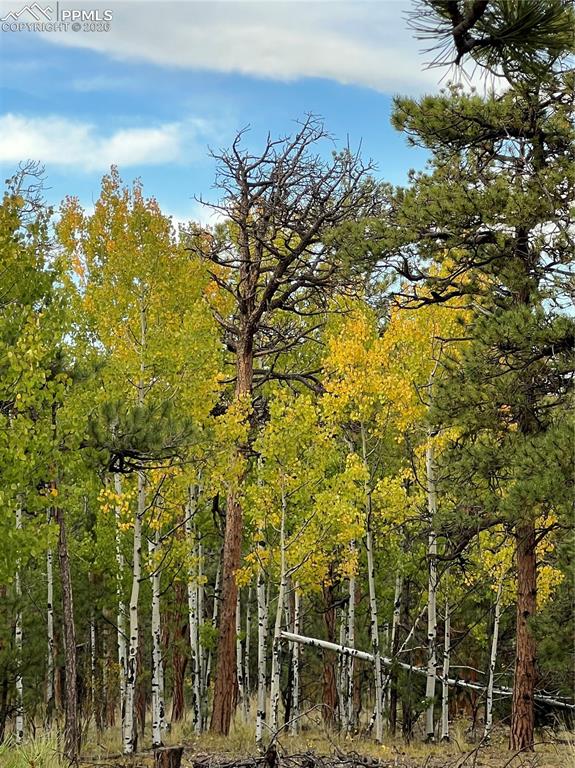 Image 40 of 41: Other