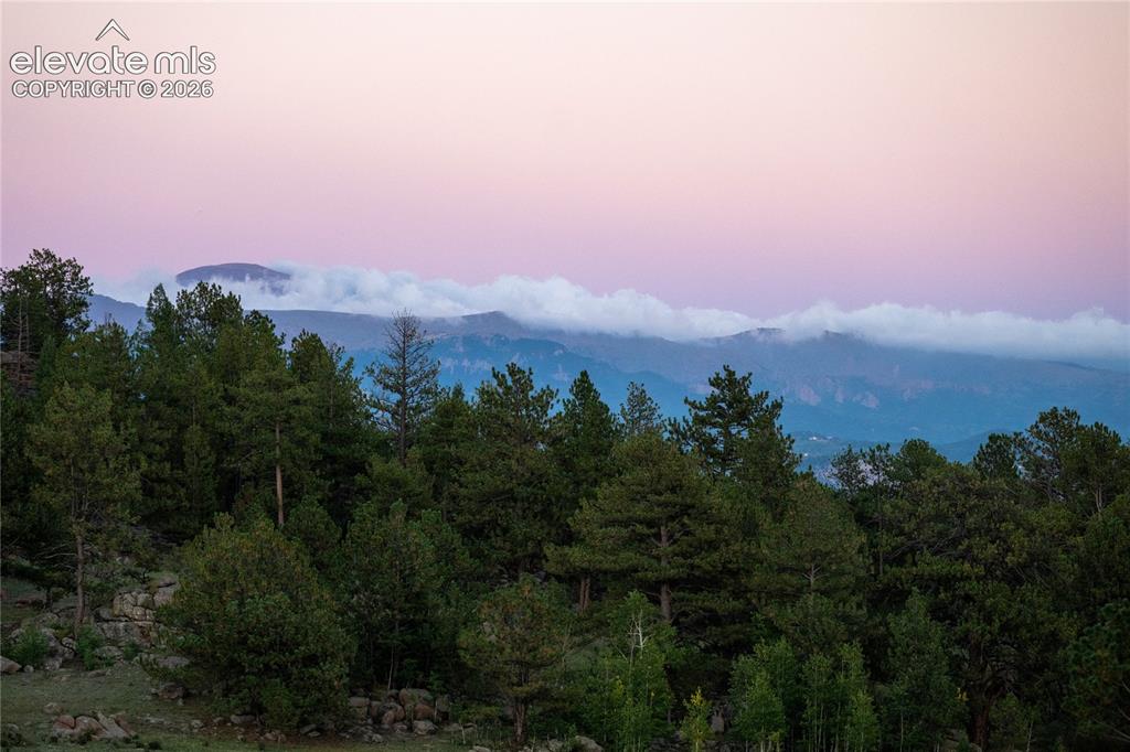 Image 45 of 45: View