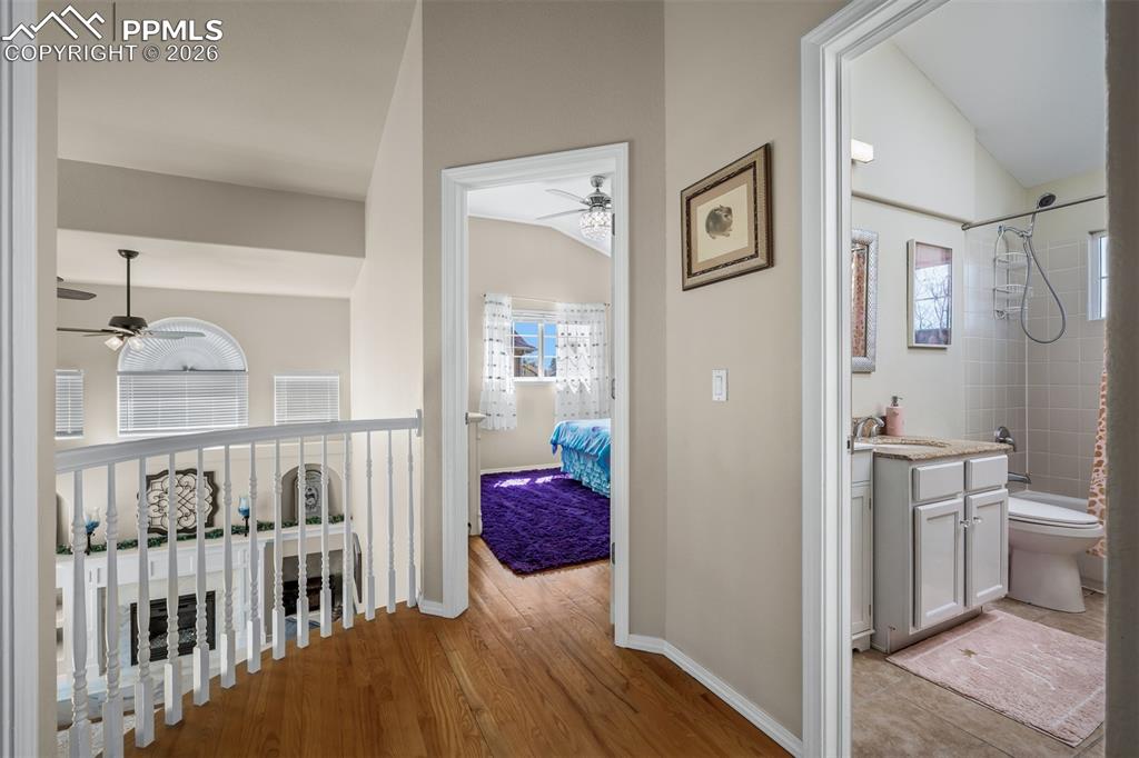 Image 22 of 49: Other