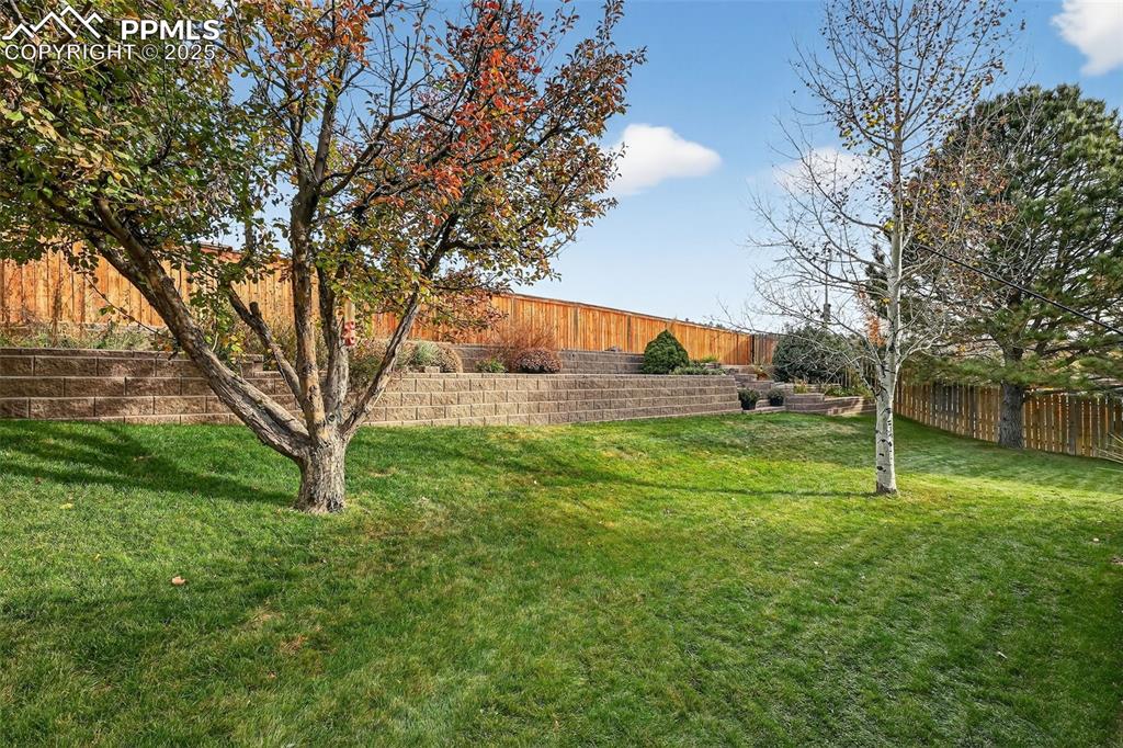 Image 45 of 50: Yard