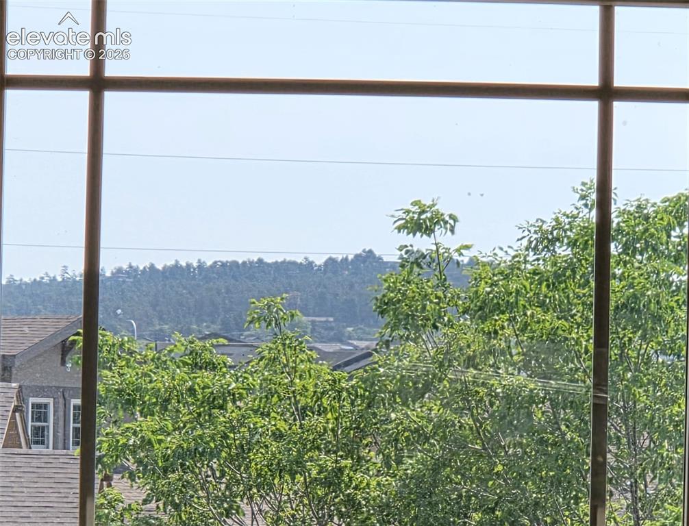 Image 21 of 46: And Black Forest Views in the other direction!!